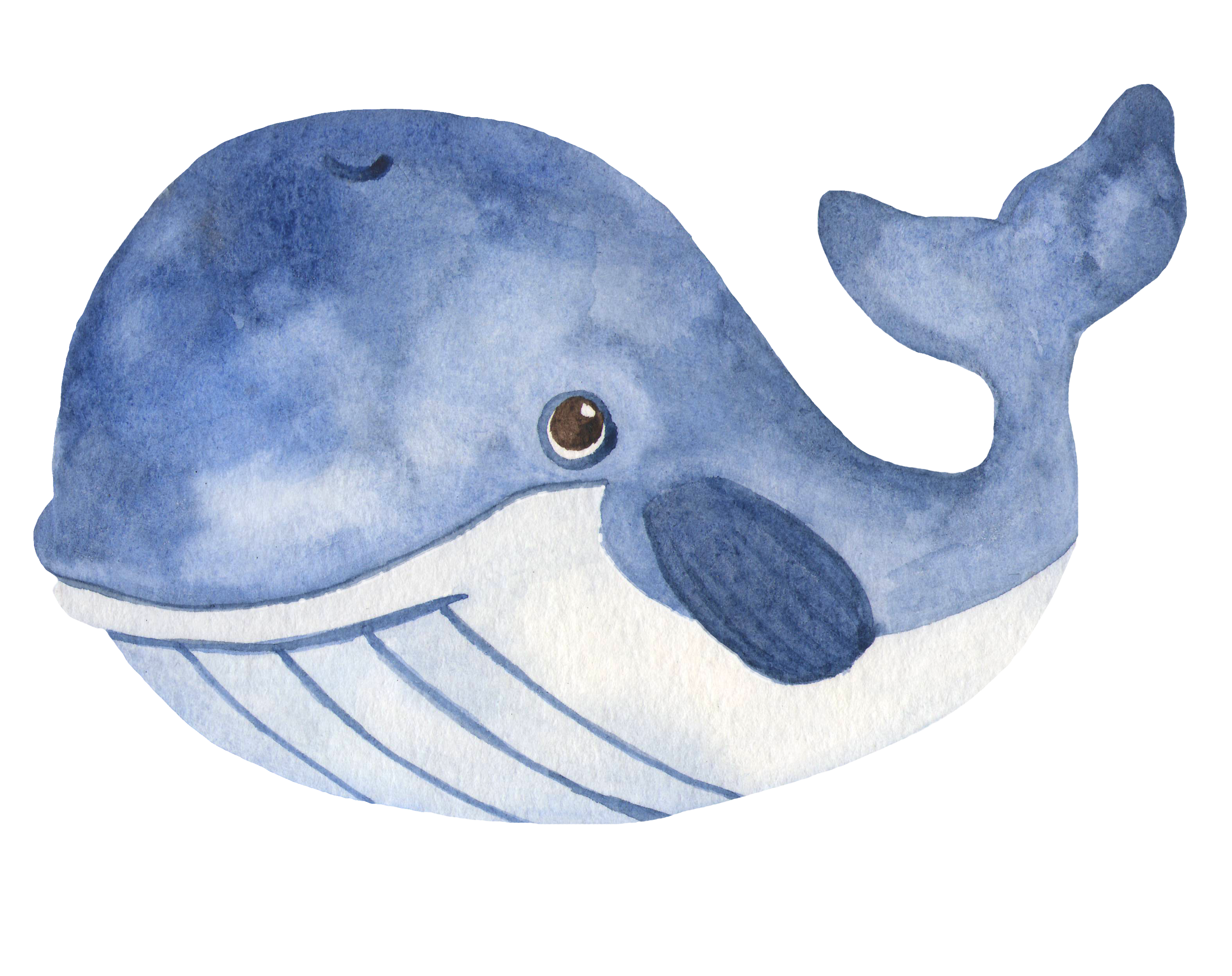 sea creature