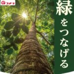 コメリ