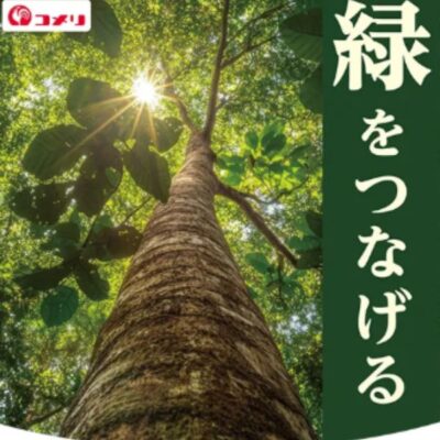 コメリ