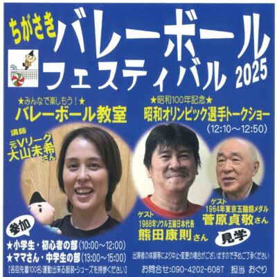 バレーボールフェスティバル