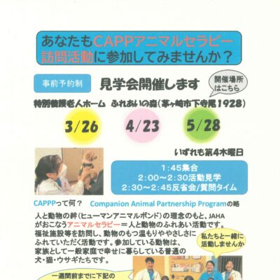 日本動物病院協会
