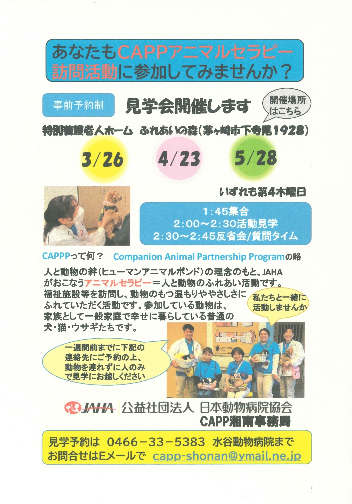 日本動物病院協会
